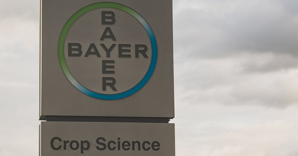 Bayer