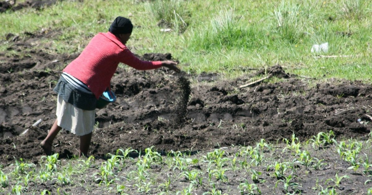 Fertilizer