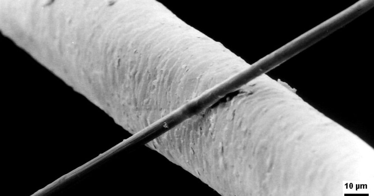 Micron