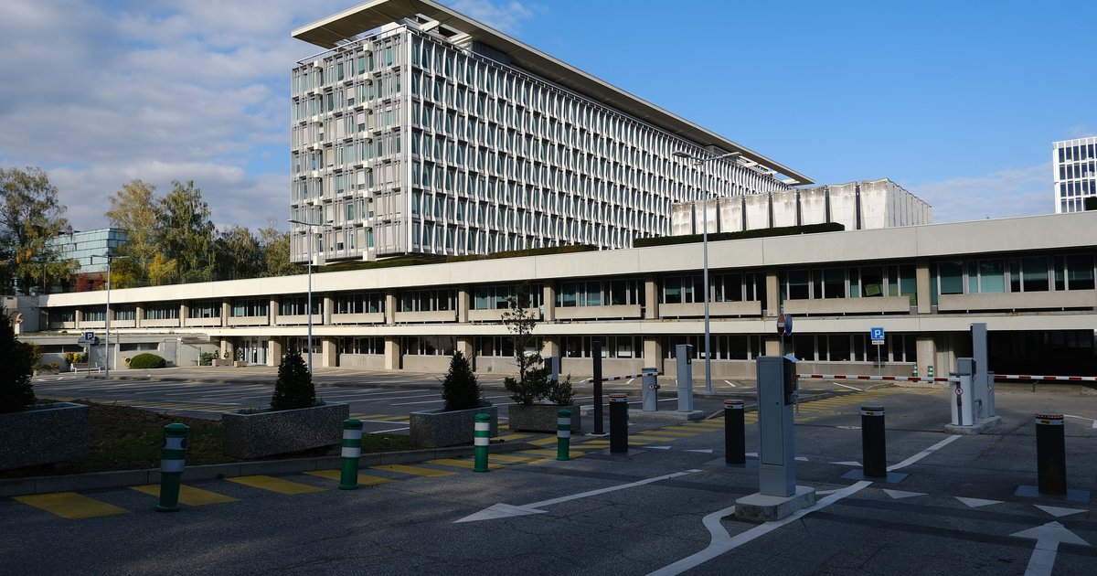 World Health Organization